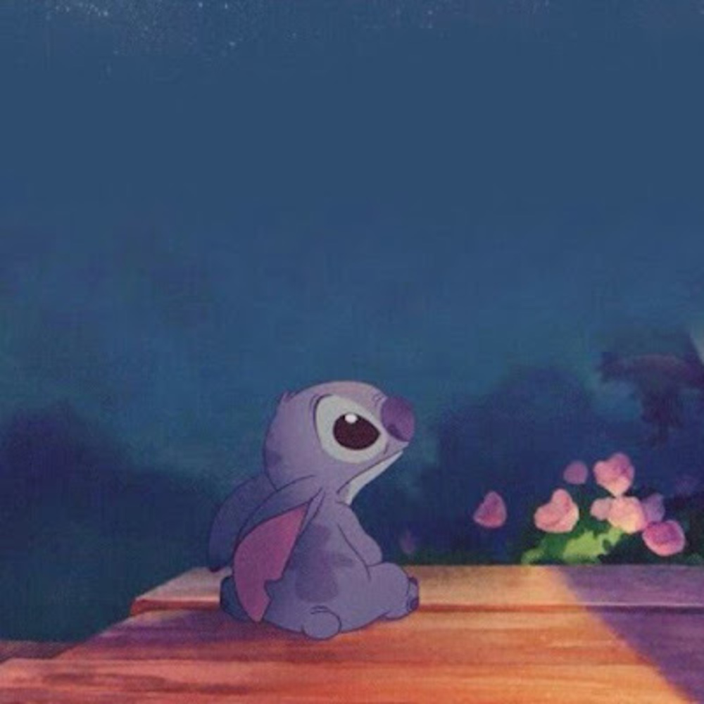 Meet your Posher, Dev